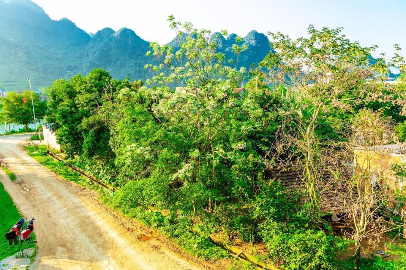 Phong Nha Cherish House Eksteriør bilde